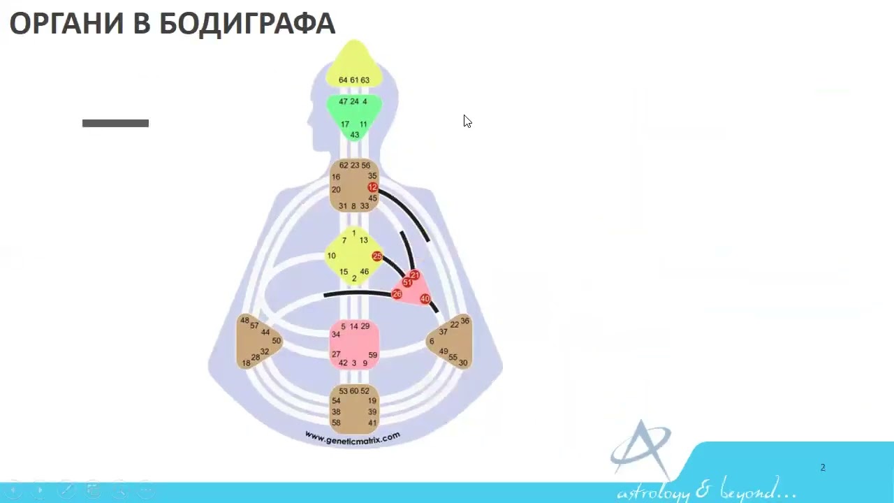 21.11.2024 - МЕДИЦИНСКИ ХЮМАН ДИЗАЙН