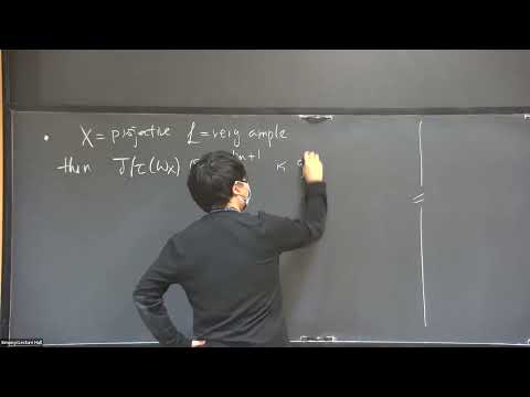 Test Ideals in Mixed Characteristic via the p-adic Riemann-Hilbert Correspondence - Linquan Ma