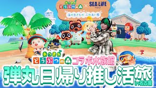 【推し活】ぽこぽけ&どうぶつの森のために遠征してきた【あつ森】