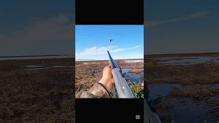 Download lagu change Lee _world record short friend #at viral hunt short # mp3