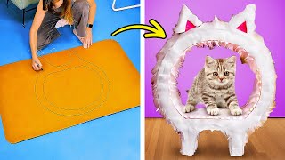 How to turn household items into cozy house for your lovely pets 🏡