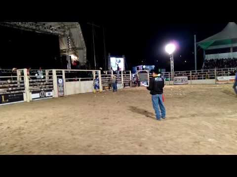 Rodeio de cunha 2016(12)