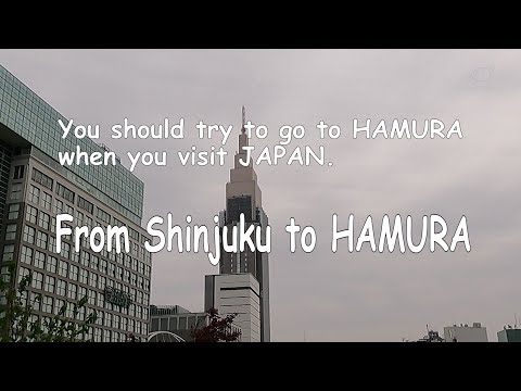 From Shinjuku to Hamura
