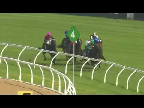 2022 Rosehill Guineas | ANAMOE