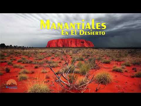 Manantiales en el Desierto - 13 de Noviembre