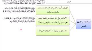 صورة الفقه الأكبر (15)  || مما يدخل في الإيمان بالرسل|| أ.د.أحمد القاضي