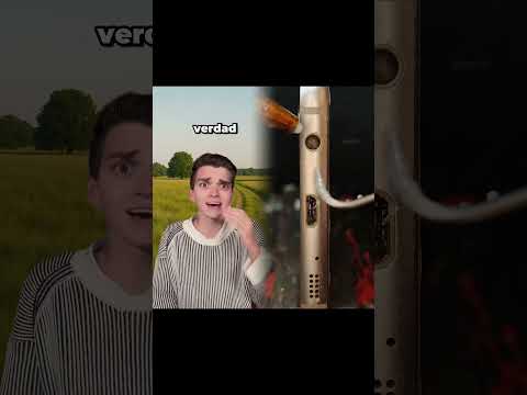 #illustration #tattoo #procreate