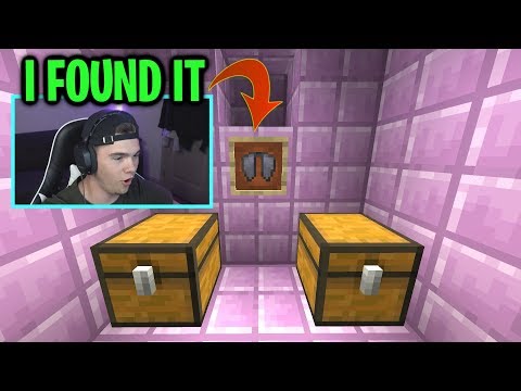 I FOUND THE ELYTRA! (minecraft ep.27)