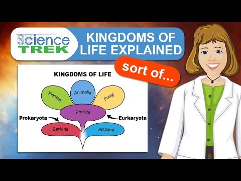 Kingdoms of Life Explained, Sort Of | Science Trek