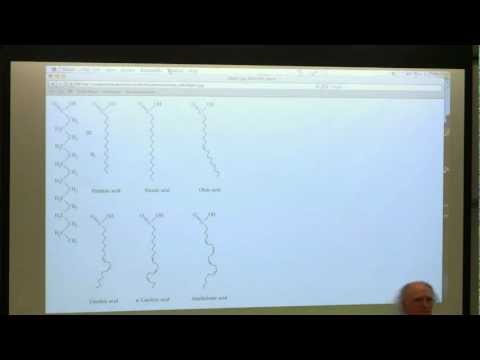 #12 BB 350 Enzymes 5 / Membranes I - Kevin Ahern's Biochemistry Online