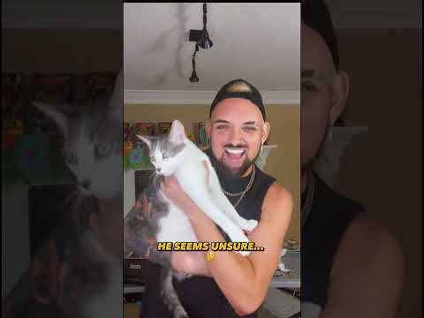 Leaking by band’s new song to MY CAT (part 3)