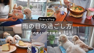 3匹の犬と過ごす雨の日の暮らし / シニア犬のお世話 / 手作り犬ごはん / 50代主婦