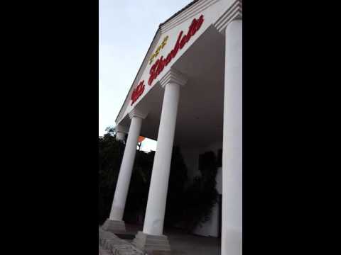 Concert la Vila Elisabeta 😊