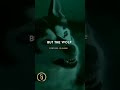 King Of The Jungle Wolf Never Perform In Circus
