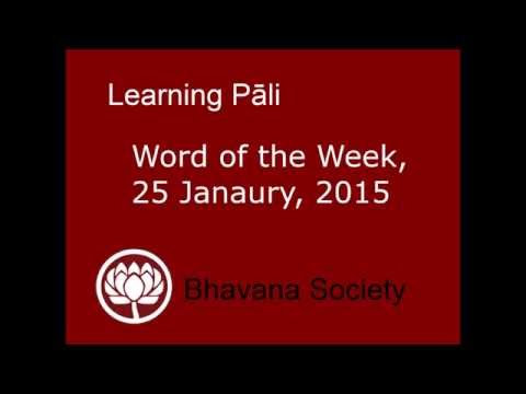 Pali Word:  Anagarika