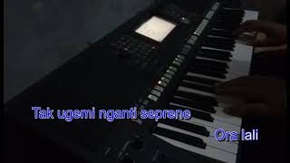 Download lagu KAGEM IBU - Didi Kempot Karaoke Nada Cowok Yamaha PSR mp3 Download lagu KAGEM IBU - Didi Kempot Karaoke Nada Cowok Yamaha PSR mp3