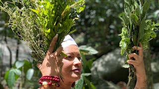 TODO FILHO(A) DE IANSA PRECISA VER ESSE VÍDEO 🌪