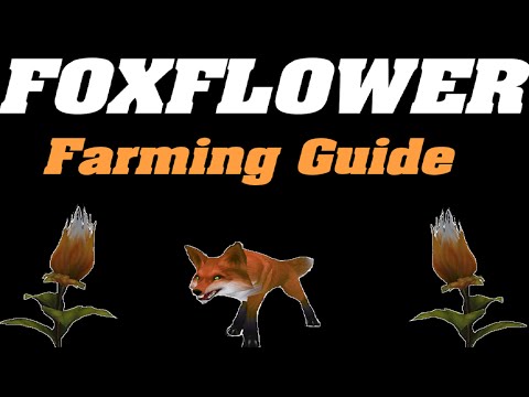 Legion: Foxflower Farming Guide | Herbalism |