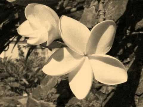 Ti Fleur Fanée (Original) - SÉGA LONTAN 974