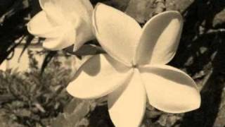 Ti Fleur Fanée (Original) - SÉGA LONTAN 974