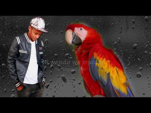 SALIM YOUNG KAHINGA NDA (lyrics video)