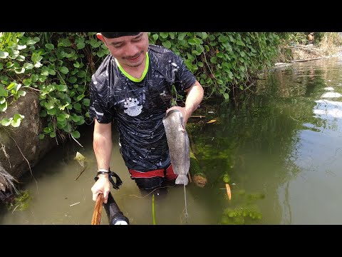 SE02EP90 - DUMAGSA ang Mga NAG LALAKIHANG HITO sa BATANGAS | Laurel - Buso Buso Batangas Fishing