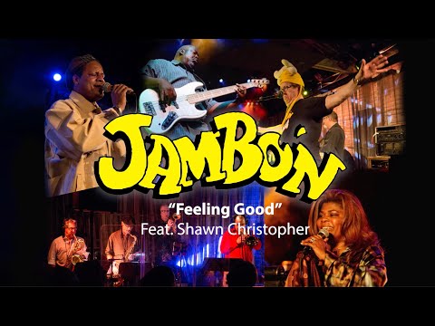 Jambon- "Feeling Good" Feat. Shawn Christopher