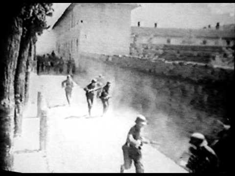 Prof.  Savini contesta Alessandro Pio Giuseppe