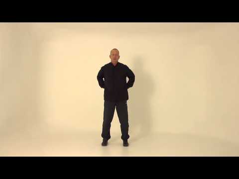 Soaring Crane Qigong - the third set.