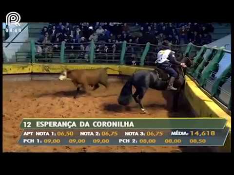 Aberta de Esteio (RS) – 2° lugar fêmeas – Esperança da Coronilha (Prova: Mangueira II)