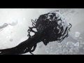 Vídeo de gameplay de Endless Space 2  PC
