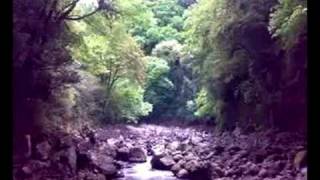 Walk Between Raindrops