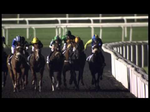 07.02.2013 Meydan (Dubai-UAE) 7.Race Freehold - 1.600 m
