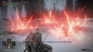 [ELDEN RING] vs.円卓の騎士、ヴァイク
