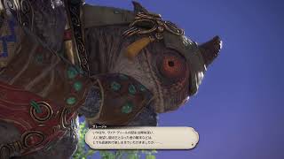 FF11オタクによるエコーズオブヴァナディール!!【FF14】