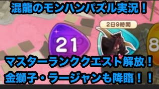 混龍のモンスターハンターパズル・アイルーアイランド実況part１４