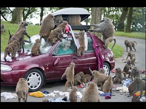 TMT 15 A New System Is Born