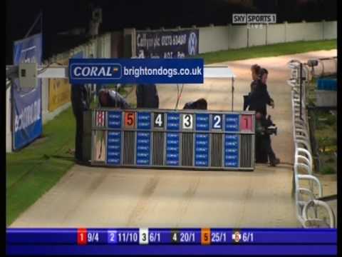 Coral Regency Final 2008