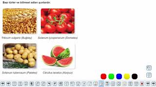 Eğitim Vadisi 9.Sınıf Biyoloji 13.Föy Canlıların Çeşitliliği ve Sınıflandırılması Konu Anlatım Videoları