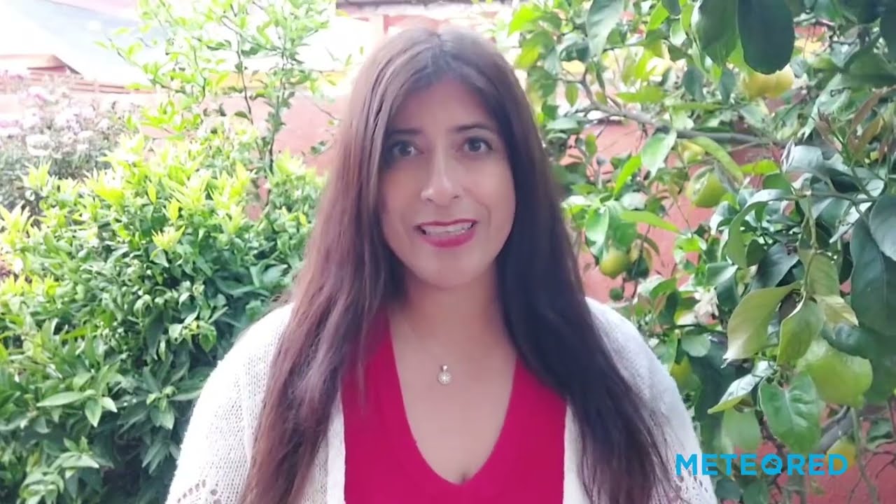 youtube video id=mnGS2TqvI0o