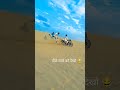 चील गाड़ी बनके उड़ूंगी तेरे साथ Chilgadi Banke C