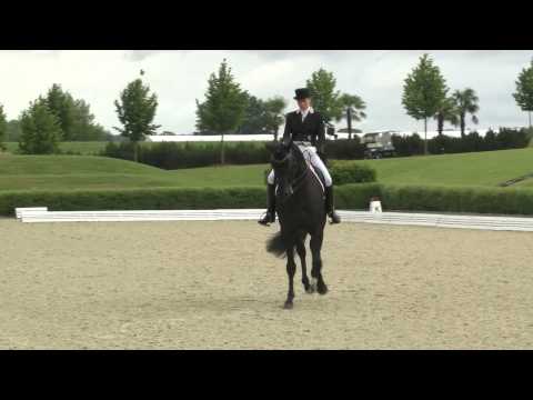 Bonhomme 2015 Prf10 15 Susan Pape   Harmony's Don Noblesse