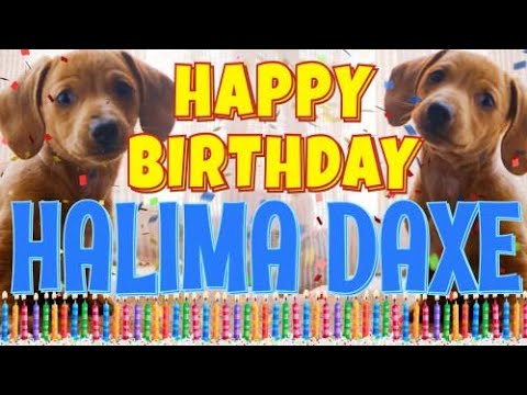 Happy Birthday Halima Daxe! ( Funny Talking Dogs ) What Is Free On My Birthday