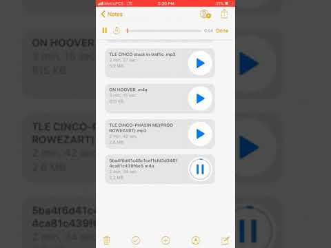 Stunna4Vegas Ft. TLE Cinco