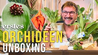Wahnsinn! Tolle neue Orchideen im Unboxing!