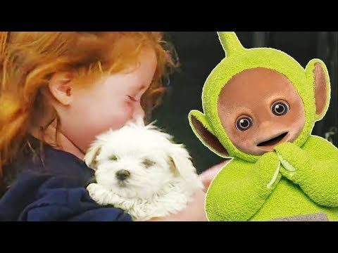 Puppies - Teletubbies - Full Episode