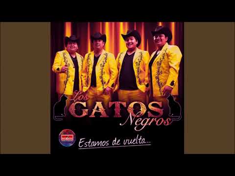 5- El Changuito Bailador