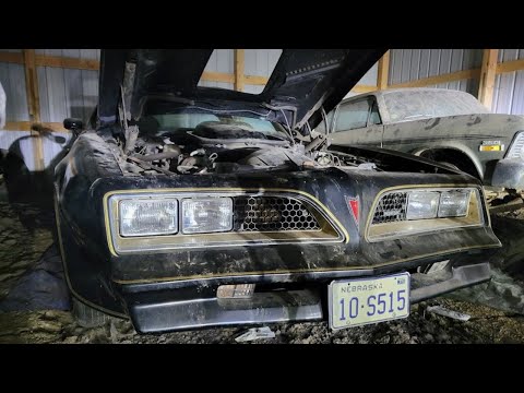 1977 Pontiac Firebird Trans Am (CC-2029189) for sale in Lincoln, Nebraska