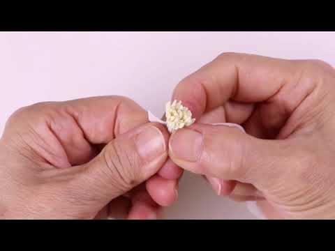 Sugar Flower ~ Butterfly Ranunculus Part 1