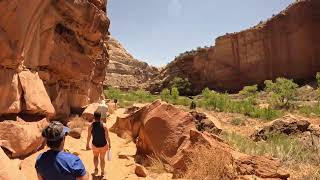 Capital Reef Hickman Bridge Trail